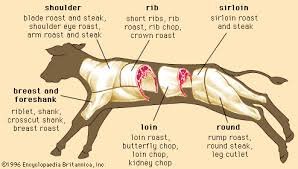 Veal Meat